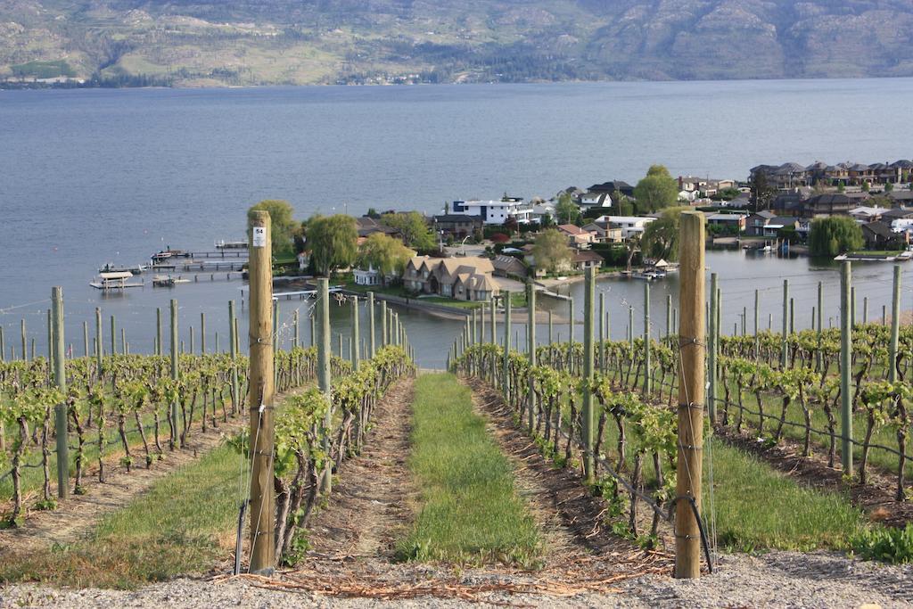 Lake Okanagan Bed And Breakfast West Kelowna Kamer foto