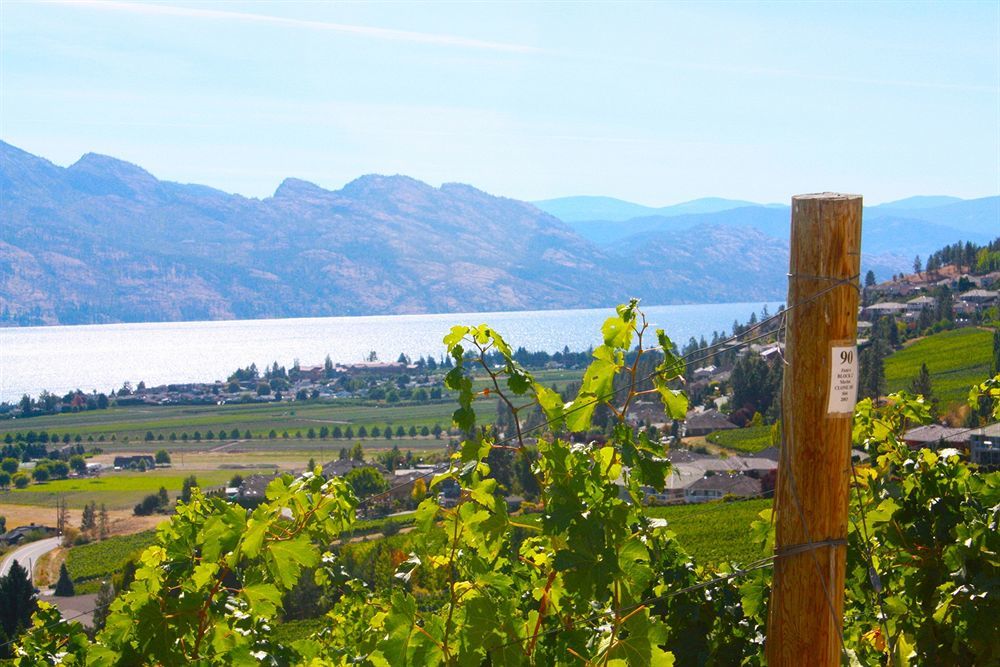 Lake Okanagan Bed And Breakfast West Kelowna Buitenkant foto